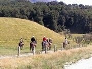 ダートステイブル乗馬